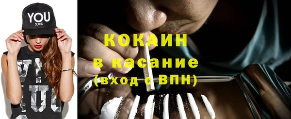 эйфоретик Бородино