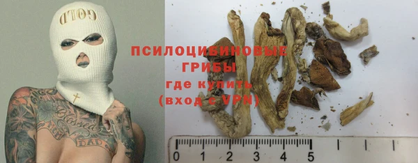 эйфоретик Бородино