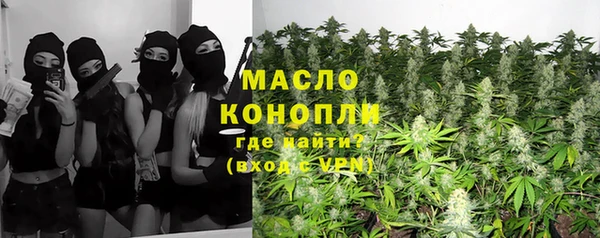 эйфоретик Бородино