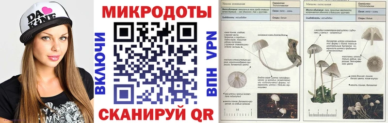 Галлюциногенные грибы мицелий  Купить  Берёзовский 